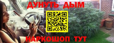 индика Партизанск